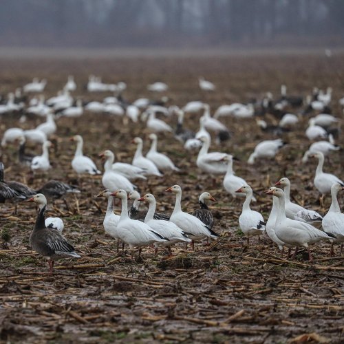 Photo post from northernskiesoutfitters.