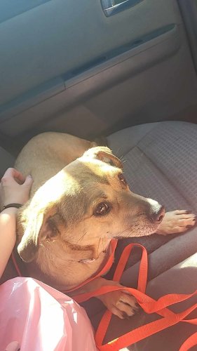 Photo post from knoxconcrete.