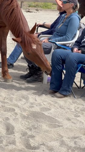 Video post from __amber_lydic__.