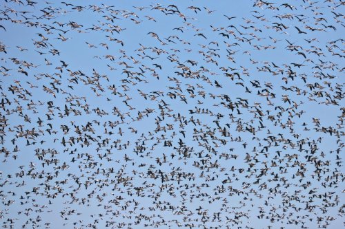 Photo post from northernskiesoutfitters.