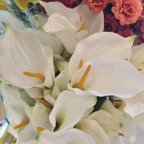 Carousel post from brasfestas.