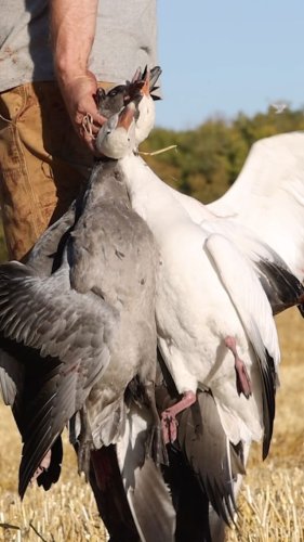 Video post from northernskiesoutfitters.