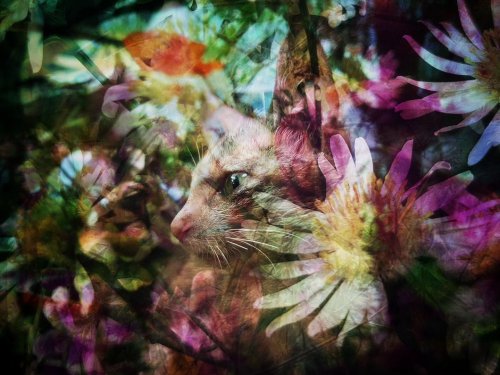 Photo post from jakbobby.