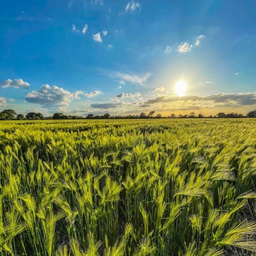 Photo post from glasshouseretreat.