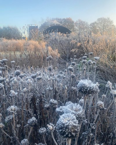 Photo post from sussexprairies.