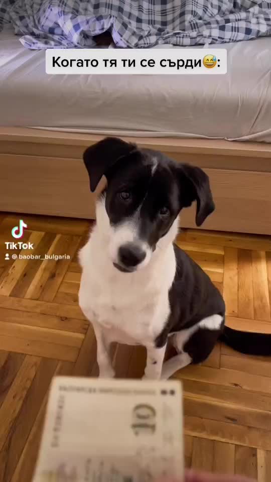 Video post from bao_barbg.