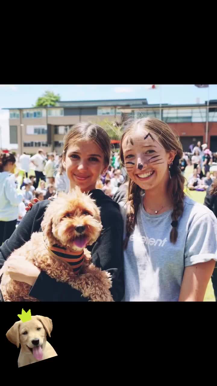 Video post from plcsydneyofficial.