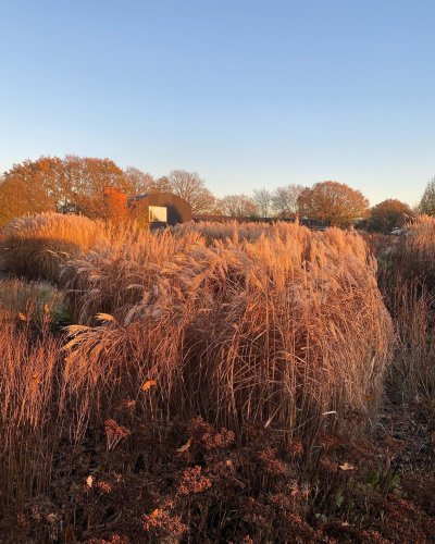 Photo post from sussexprairies.