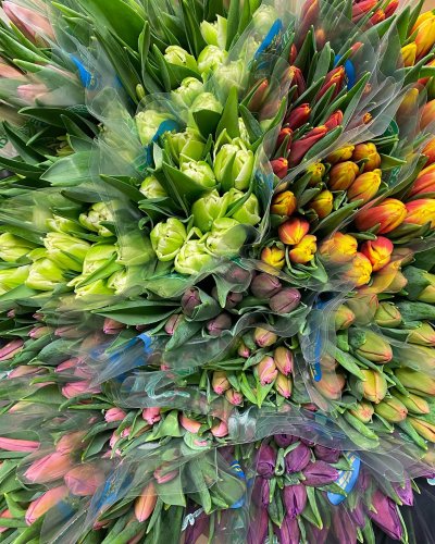 Photo post from blomsterborsen.