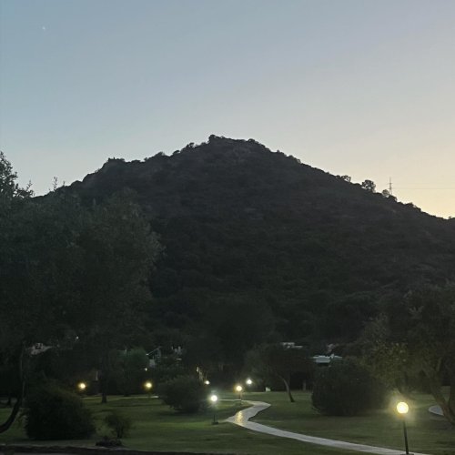 Photo post from camillaripani.