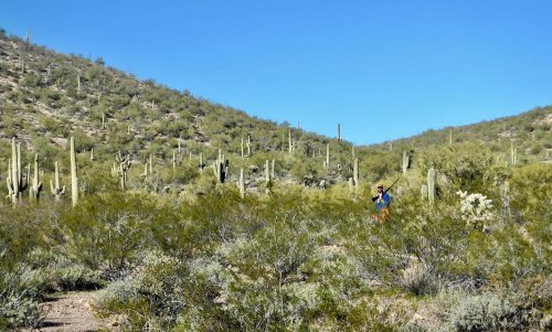 Photo post from nwfoutdoors.
