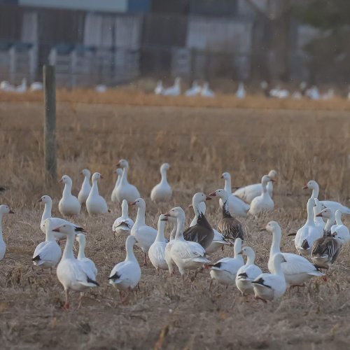 Photo post from northernskiesoutfitters.