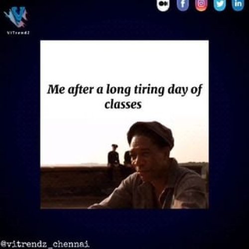 Video post from vitrendz_chennai.