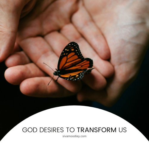 Photo post from drsivamm.