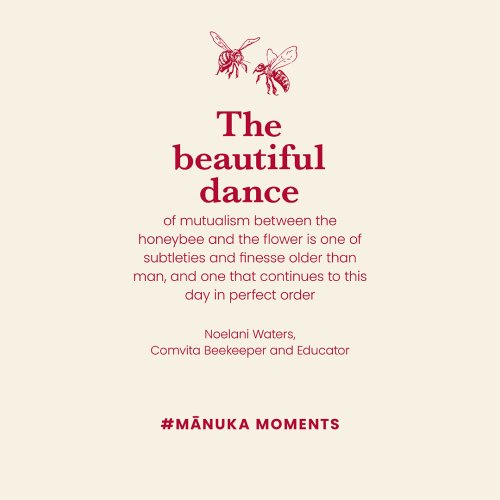 Photo post from comvita_au.