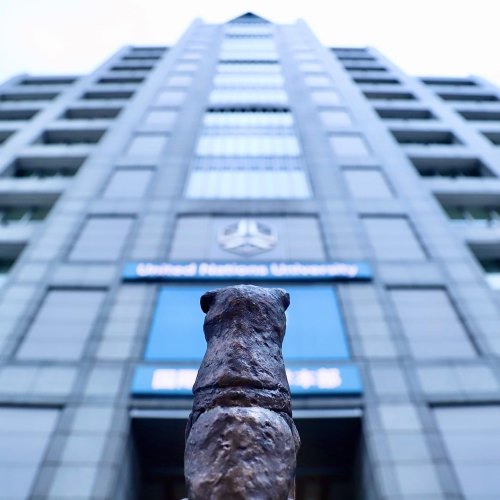 Carousel post from city_shibuya_official.