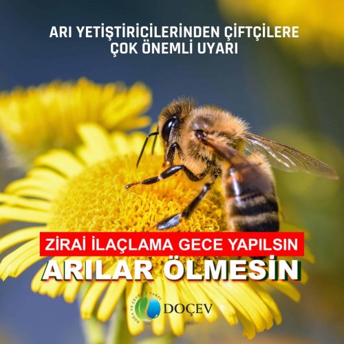 Photo post from dogavecevrevakfi.