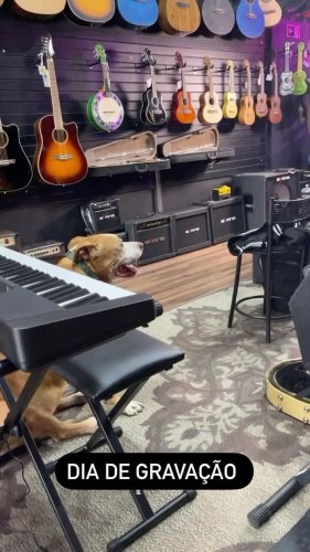 Video post from miyatamusic.
