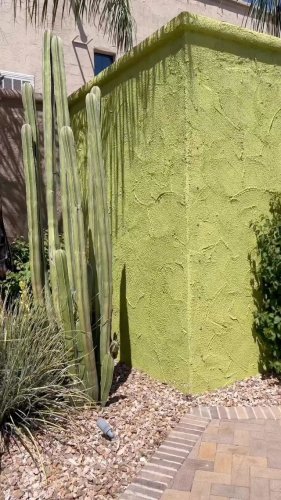 Video post from visittucson.
