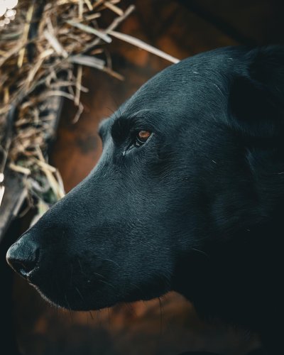 Photo post from northernskiesoutfitters.