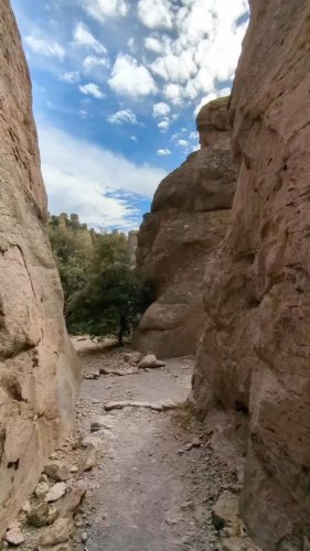 Video post from visittucson.