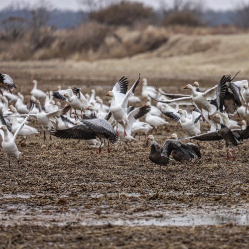 Photo post from northernskiesoutfitters.