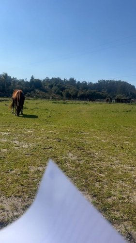 Video post from __amber_lydic__.