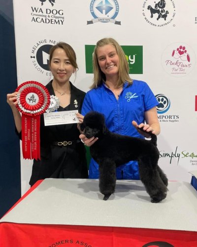 Carousel post from k9playtimedoggydaycare.