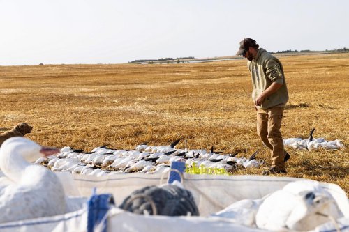 Photo post from northernskiesoutfitters.