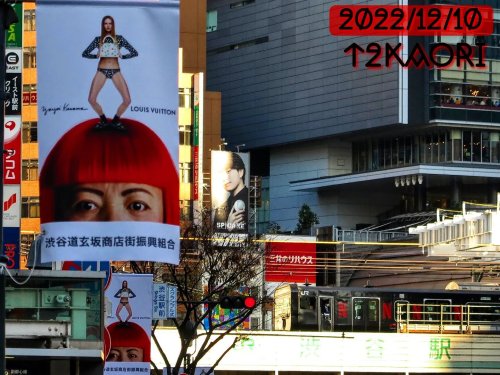 Photo post from t2kaori.