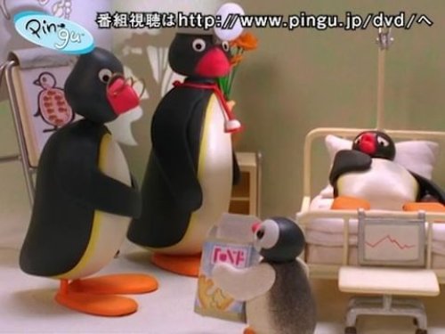 Video post from pingu_jp.