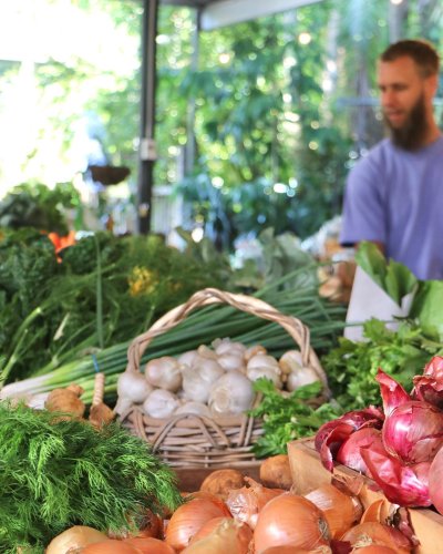 Carousel post from currumbinvalleyharvest.