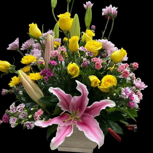 Photo post from la_gifteria.