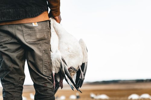 Photo post from northernskiesoutfitters.