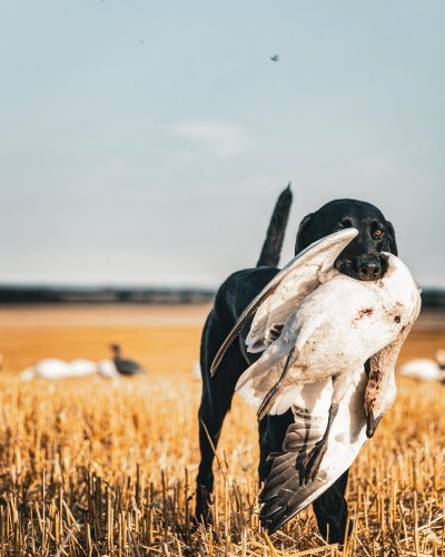 Photo post from northernskiesoutfitters.