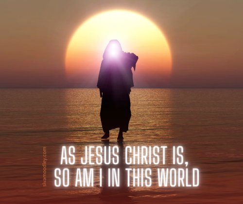 Photo post from drsivamm.