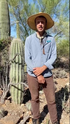 Video post from visittucson.