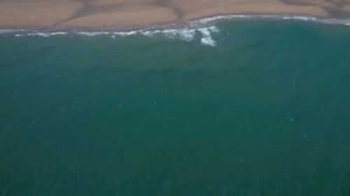 Video post from scott.parry.associates.