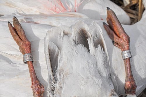 Photo post from northernskiesoutfitters.