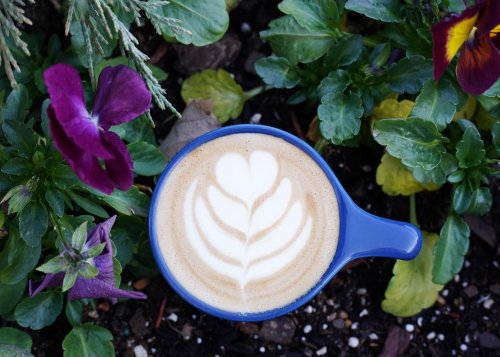 Photo post from nordaggioscoffee.