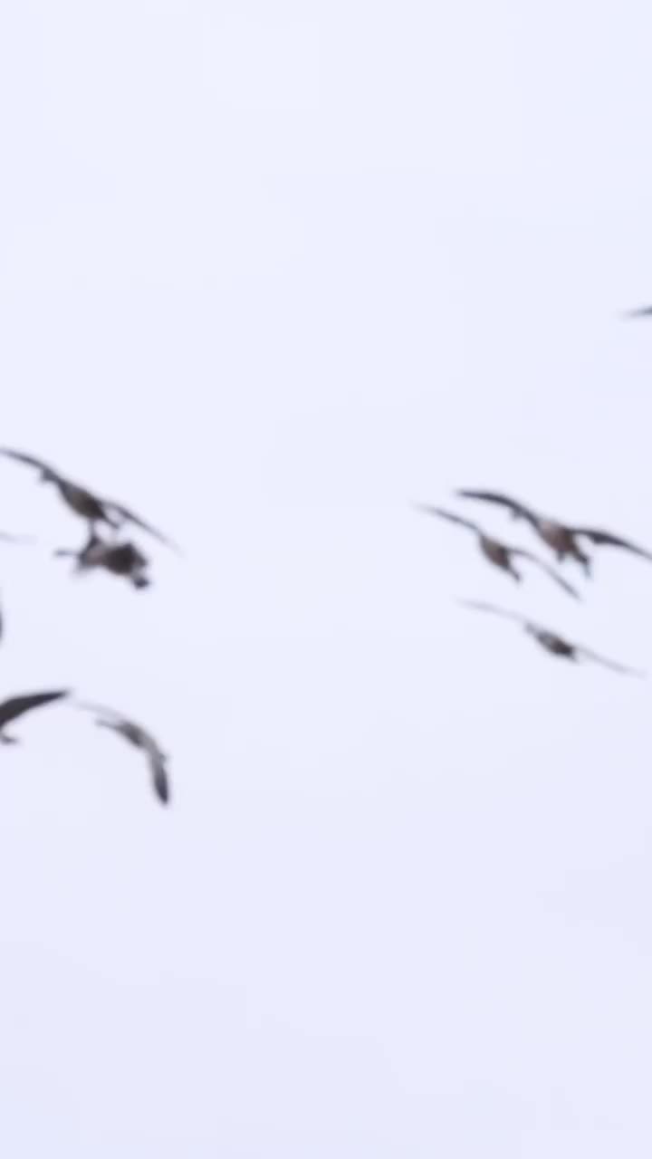 Video post from northernskiesoutfitters.