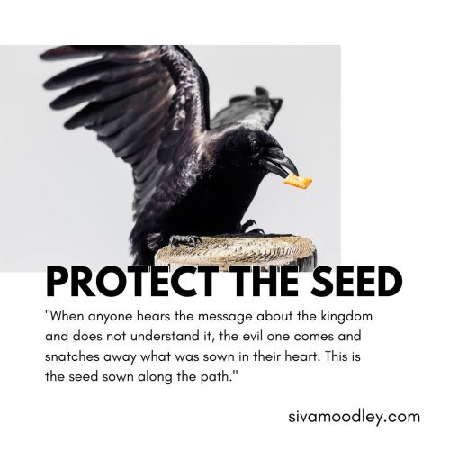 Photo post from drsivamm.