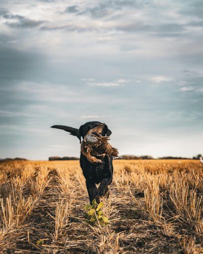 Photo post from northernskiesoutfitters.