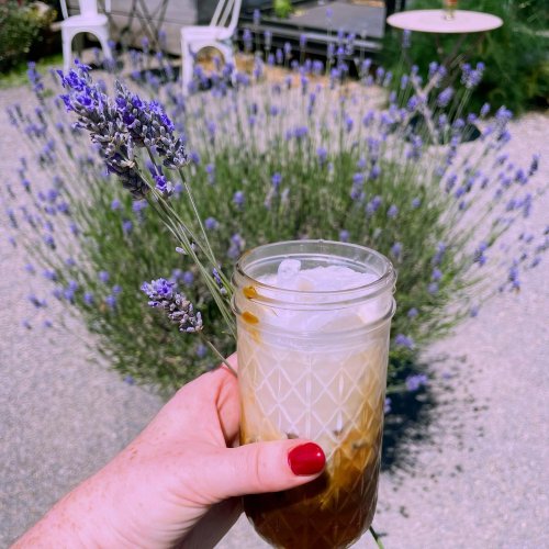 Photo post from equianocoffee.