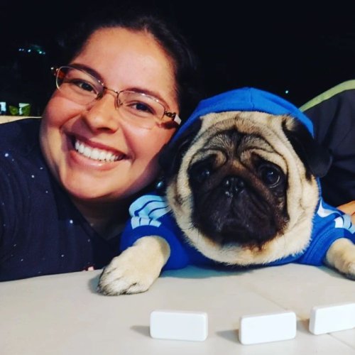 Photo post from lumoreiracursos.