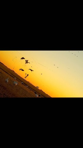 Video post from northernskiesoutfitters.