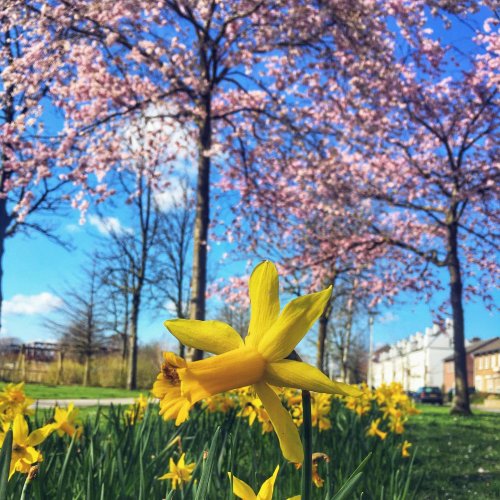 Photo post from visitoirschot.