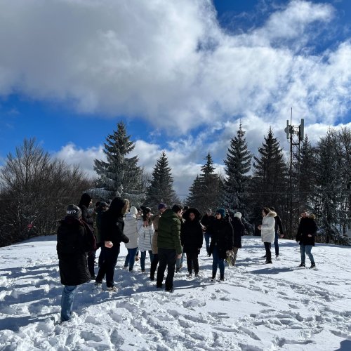 Carousel post from embedsocialjapan.