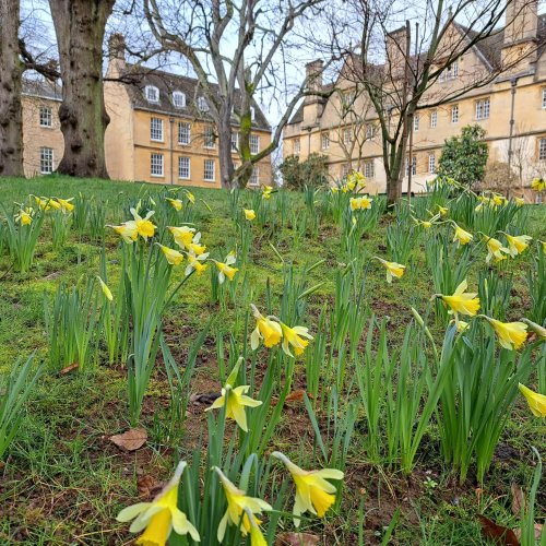 Photo post from wadhamoxford.