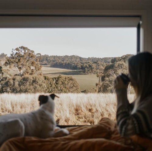 Photo post from in2thewild.aus.